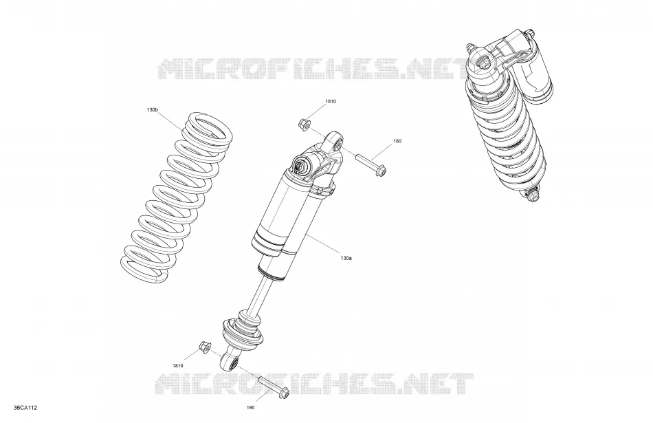 Suspension - Rear Shocks - XXC