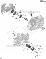 Engine Lubrication