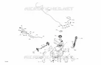Engine - Fuel