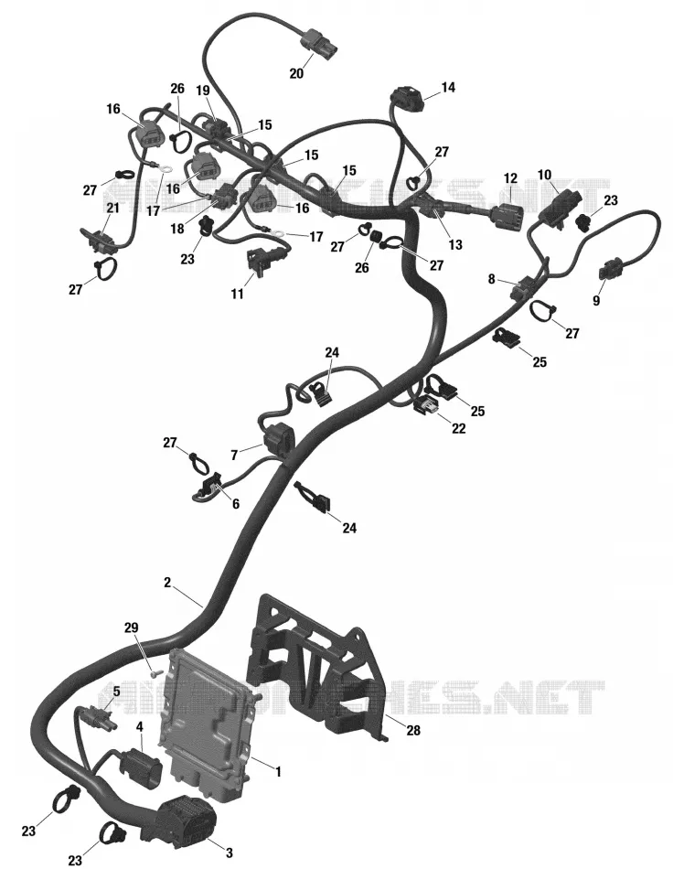 WIRING HARNESS - TURBO RR