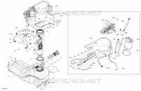 Engine - Fuel - EVAP System