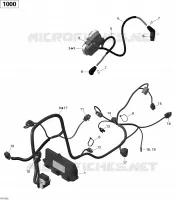 Engine Harness And Electronic Module
