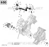 Engine Cooling - 650 EFI