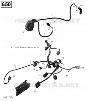 Engine Harness and Electronic Module - 650 EFI (Except Package PRO)