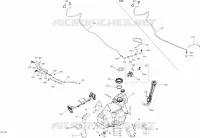 Fuel System - All Models