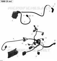 Engine Harness And Electronic Module _51R1507