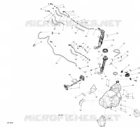 Fuel System - All Models