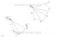 07- Body - Safety Net