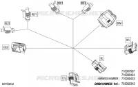 08- 0 - CARGO HARNESS - 710006434