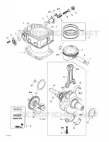 Crankshaft And Cylinder