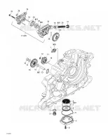 Engine Lubrication
