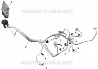 01- ROTAX - Engine Harness And Electronic Module