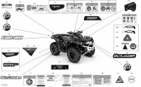 Decals - XXC