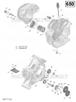 Engine Lubrication - 650 EFI