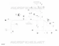 Main Harness - 710006376 - BASE - DPS - XT