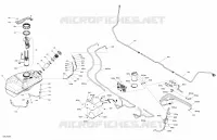 Engine - Fuel - EVAP System