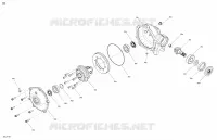 Drive - Front Section - Differential Parts - DS