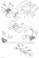 Body And Accessories 1