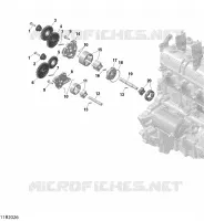 Oil Pump And Oil Pump Drive