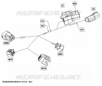 Electrical Harness, Front Section Europe