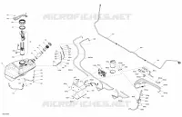 Engine - Fuel - EVAP System