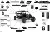 Body - Decals  - XRS