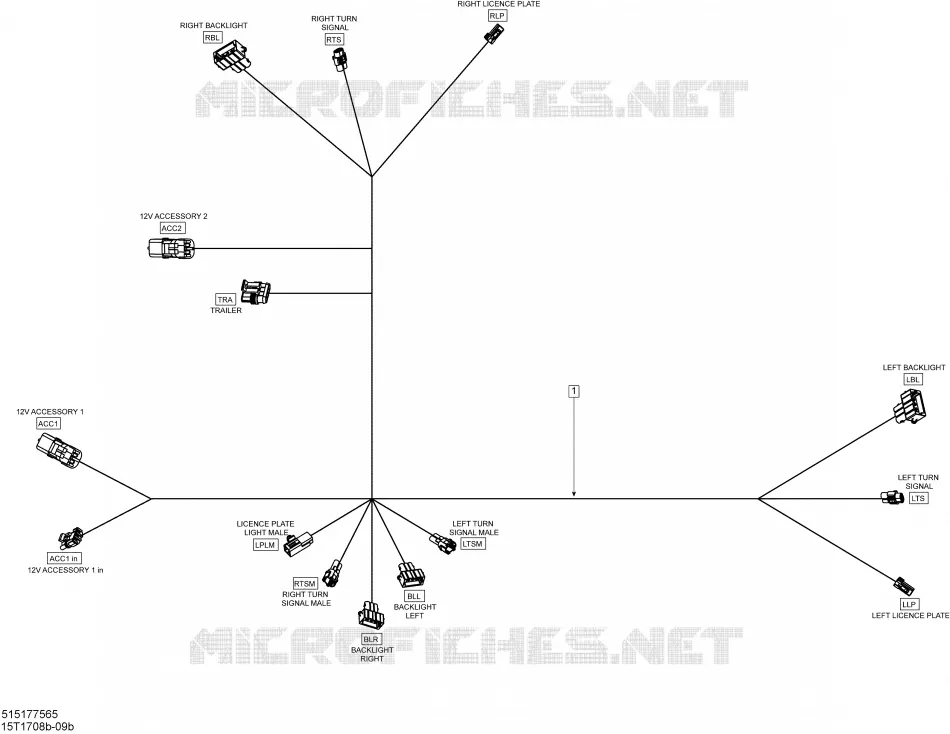 Electrical Harness _Rear Harness