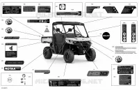 Body - Decals  - XT