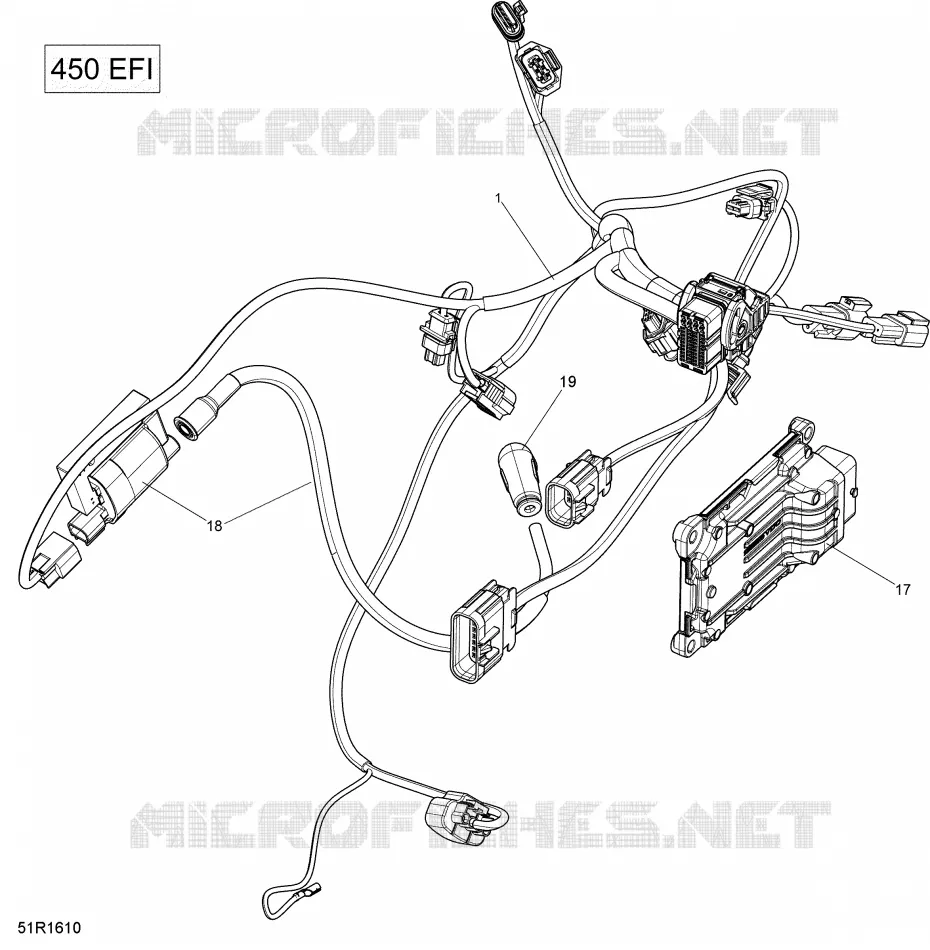 Engine Harness and Electronic Module - 450 EFI