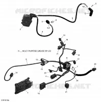Engine Harness and Electronic Module - 650 EFI (Package PRO)