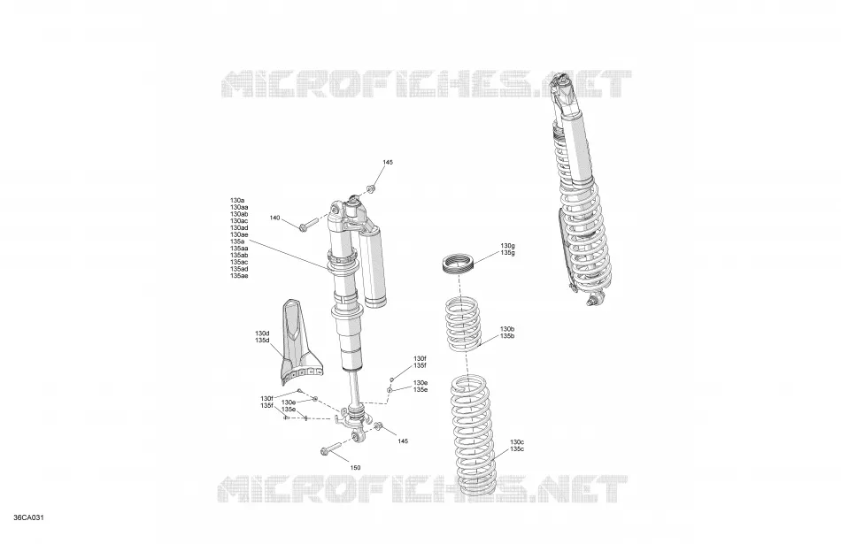 Suspension - Rear Shocks - DS