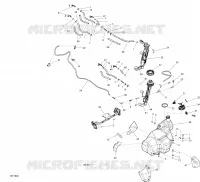 Fuel System - All Models