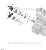 Oil Pump And Oil Pump Drive