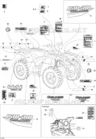 Decals STD
