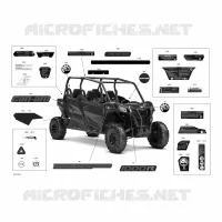 Decals - 1000R