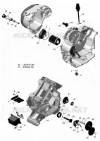 Engine Lubrication