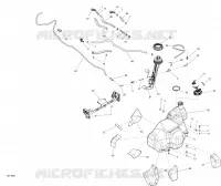 Fuel System - All Models