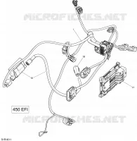 Engine Harness and Electronic Module - 450 EFI