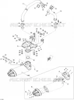 Exhaust System