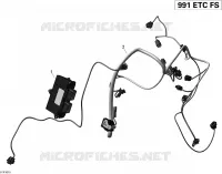Engine Harness And Electronic Module