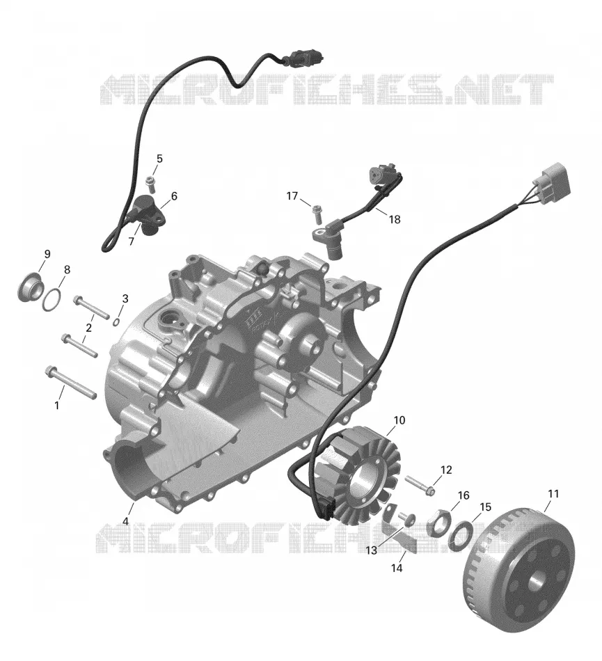 01- ROTAX - MAGNÉTO - 480W