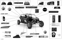 Decals - XMR