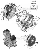 Engine - Crankcase - 1010 TSS
