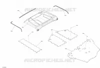 Body - Skid Plate