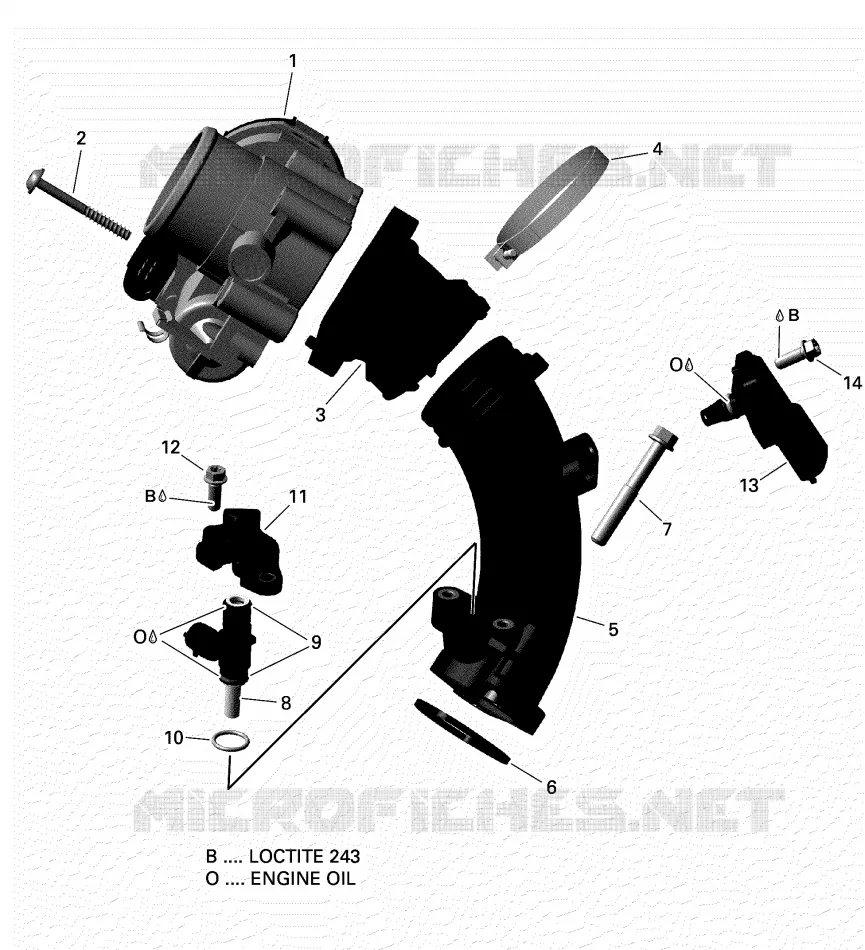 Air Intake Manifold And Throttle Body