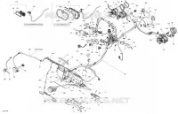 Electrical System