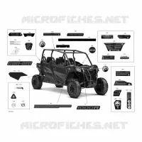 Decals - 1000R - Package DPS