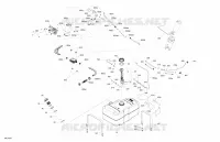 Engine - Fuel - EVAP System