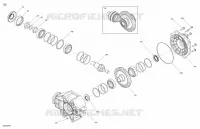 Drive - Rear Section - Differential Parts