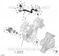 Engine Cooling - 650 EFI